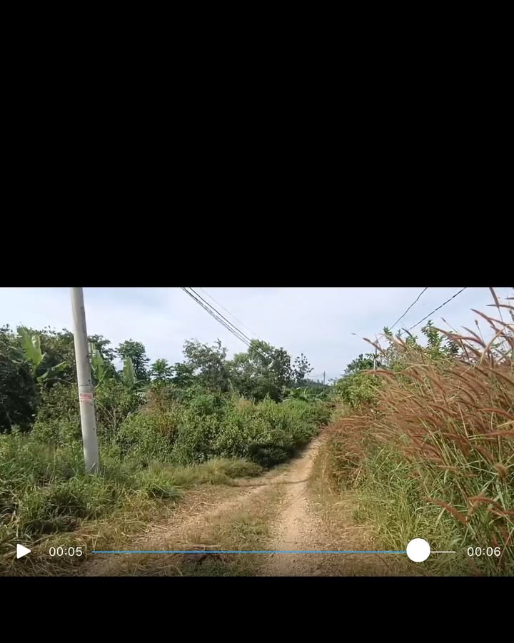 Đất nền Phú Tân Định Quán 11.500m² giá 2 tỷ - Sổ đỏ chính chủ, thương lượng nhẹ!