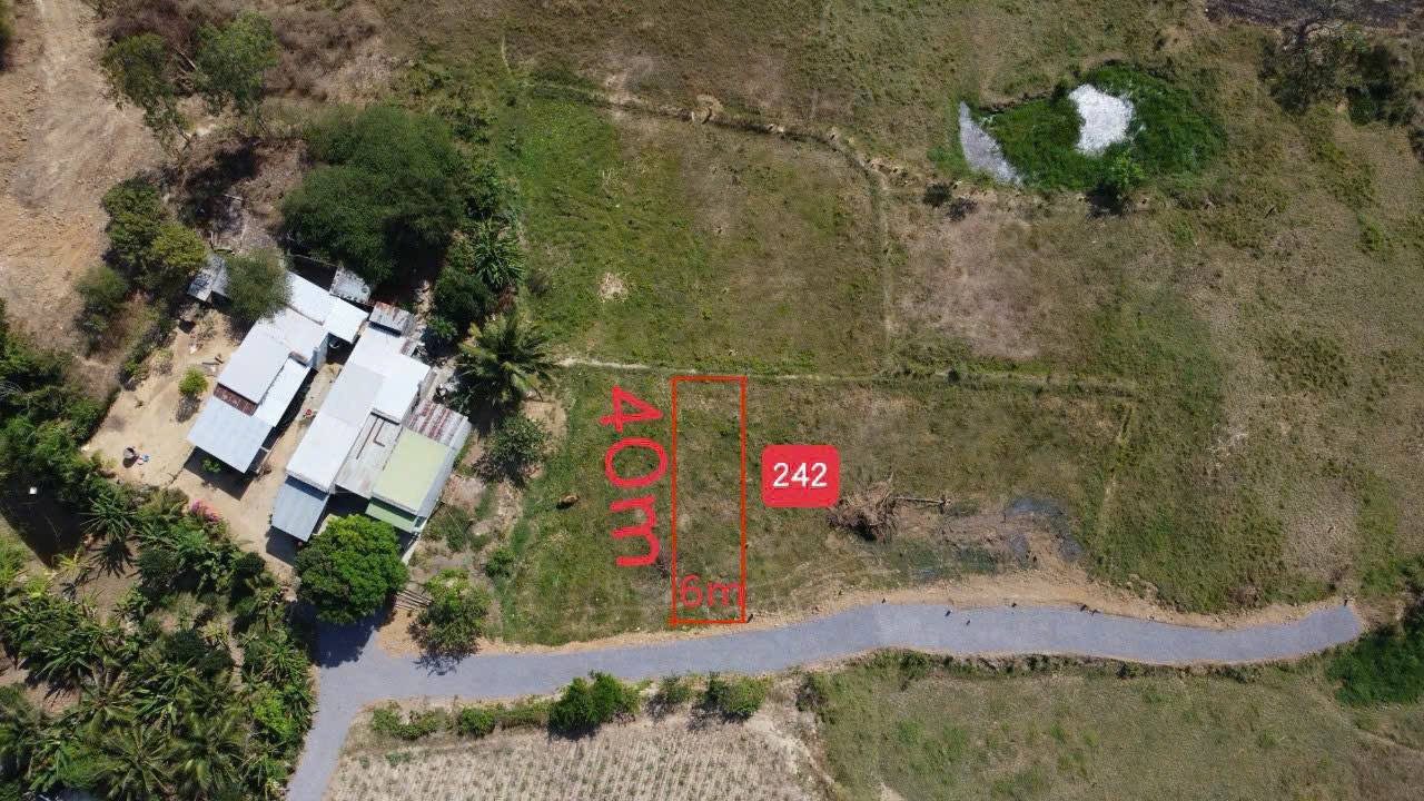 Đất thổ cư Ninh Xuân 240m² giá 300 triệu - Cạnh khu công nghiệp, đầu tư sinh lời!