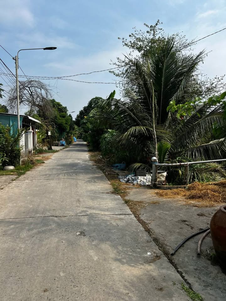 Đất vườn tại Mỹ Tân, Cao Lãnh 3740m² giá 4.5 tỷ - Pháp lý rõ ràng, sẵn sàng giao dịch!