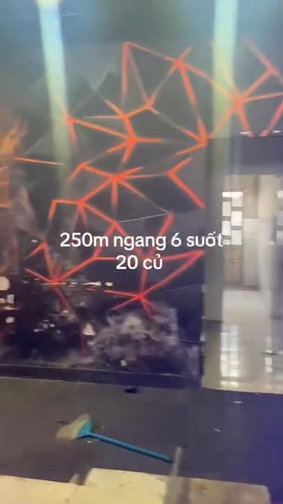 Cho thuê mặt bằng kinh doanh đường Nguyễn Tri Phương, Dĩ An 250m² - Giá 20 triệu/tháng