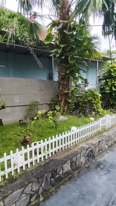 Biệt thự Mini Nghỉ Dưỡng Lái Thiêu 782m² giá 8.5 tỷ - Không gian sống lý tưởng giữa lòng đô thị!