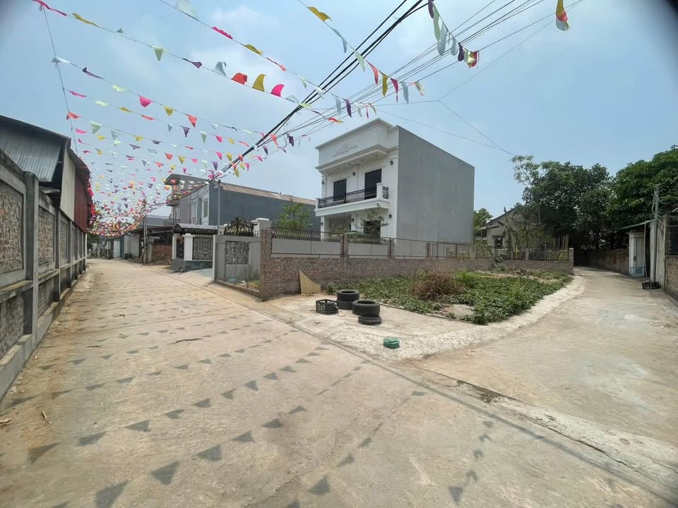 Đất nền tại TDP Điền Lương, TT Hợp Hòa, Tam Dương 131,3m² - Vị trí đắc địa cho công chức!