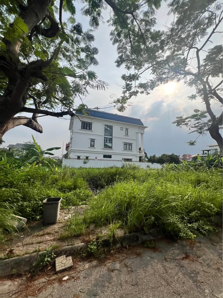 Bán Lô Đất Biệt Thự Khu Anh Dũng 3 Hải Phòng 330m² - Đầu tư sinh lời tốt!