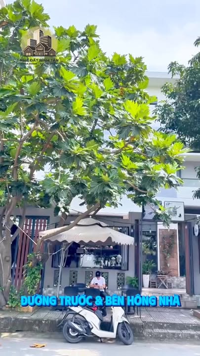 Biệt thự góc 3 mặt tiền An Dương Vương, Bình Tân 187.2m² giá 17 tỷ - Kinh doanh cafe đông khách!