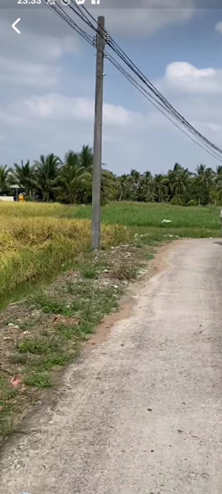 Đất nền ấp 4 Nhựt Chánh, Bến Lức 3868m² - Giá chỉ 700 triệu!