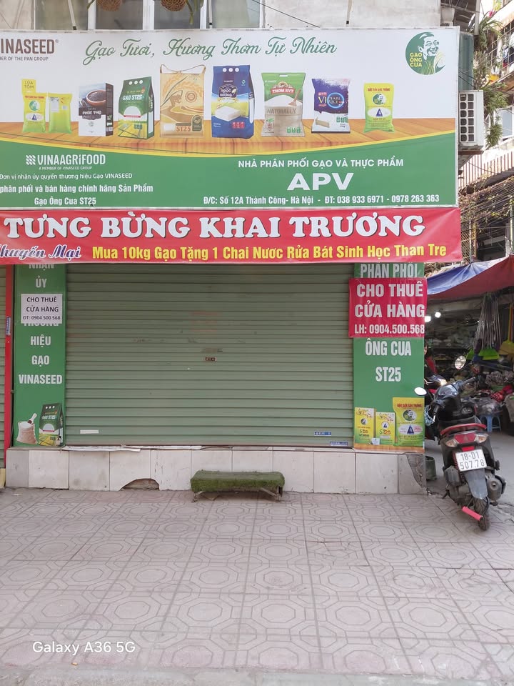 Cửa hàng cho thuê 12A phố Thành Công, 20m² - Vị trí đắc địa, 2 mặt tiền!