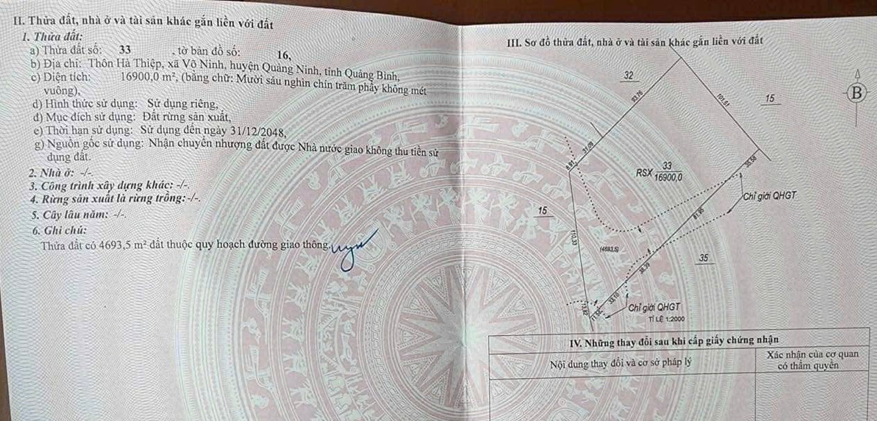 Đất rừng Võ Ninh Quảng Ninh 16.900m² - Vị trí đẹp, chính chủ bán gấp!