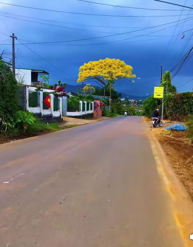 Đất nền 250m² đường 19m tại TP. Huế giá chỉ 750 triệu - Cơ hội đầu tư tuyệt vời!