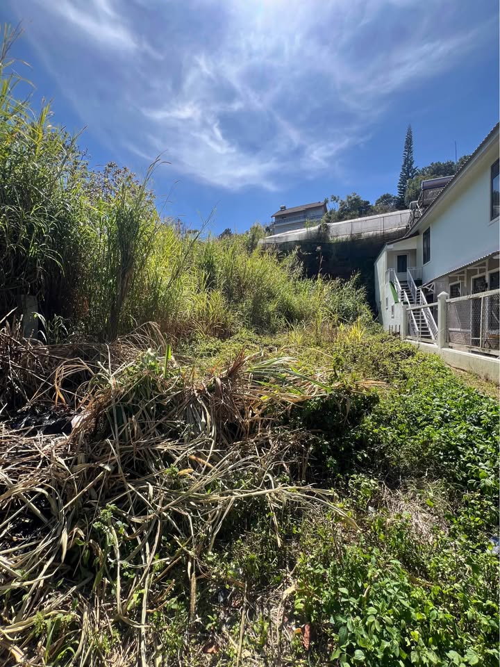 Đất Nam Hồ, P. Xuân Trường, Đà Lạt 249m² giá 6.3 tỷ - Pháp lý sổ riêng, xây dựng ngay!