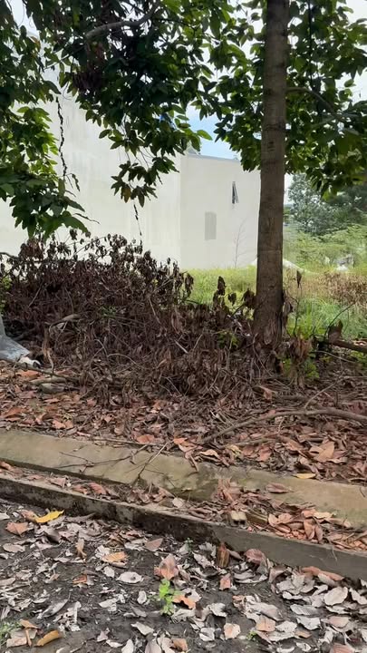 Đất nền KDC 135 Bến Lức 80m² giá 2.1 tỷ - Hướng Tây, vị trí đắc địa!