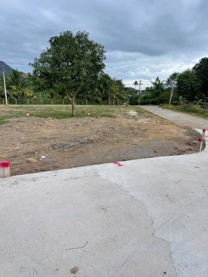 Đất đầu tư Diên Khánh 79.9m² chỉ 439 triệu - Cơ hội vàng cho nhà đầu tư!