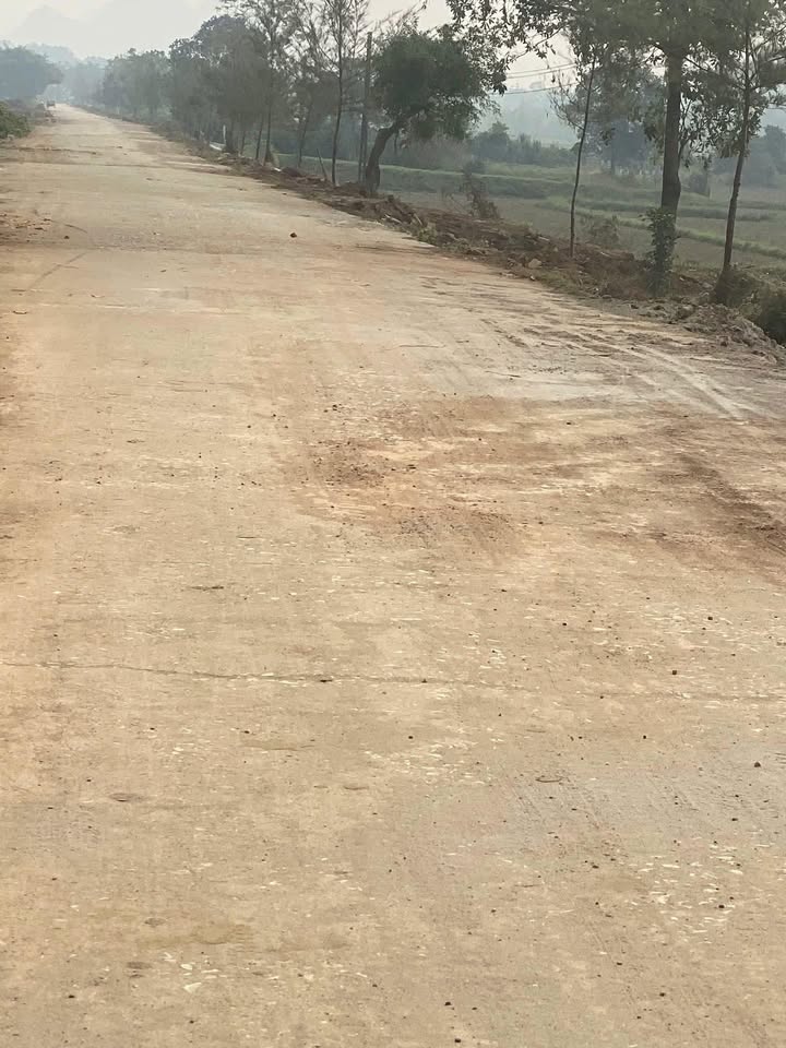 Đất thổ cư Gia Phong, Gia Viễn 210m² giá 1.3 tỷ - Đường trục chính rộng rãi!