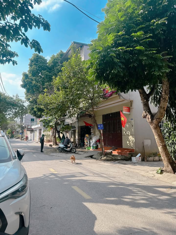 Đất nền Gia Cẩm, Việt Trì 76m² giá 2 tỷ - Vị trí trung tâm, an ninh tốt!