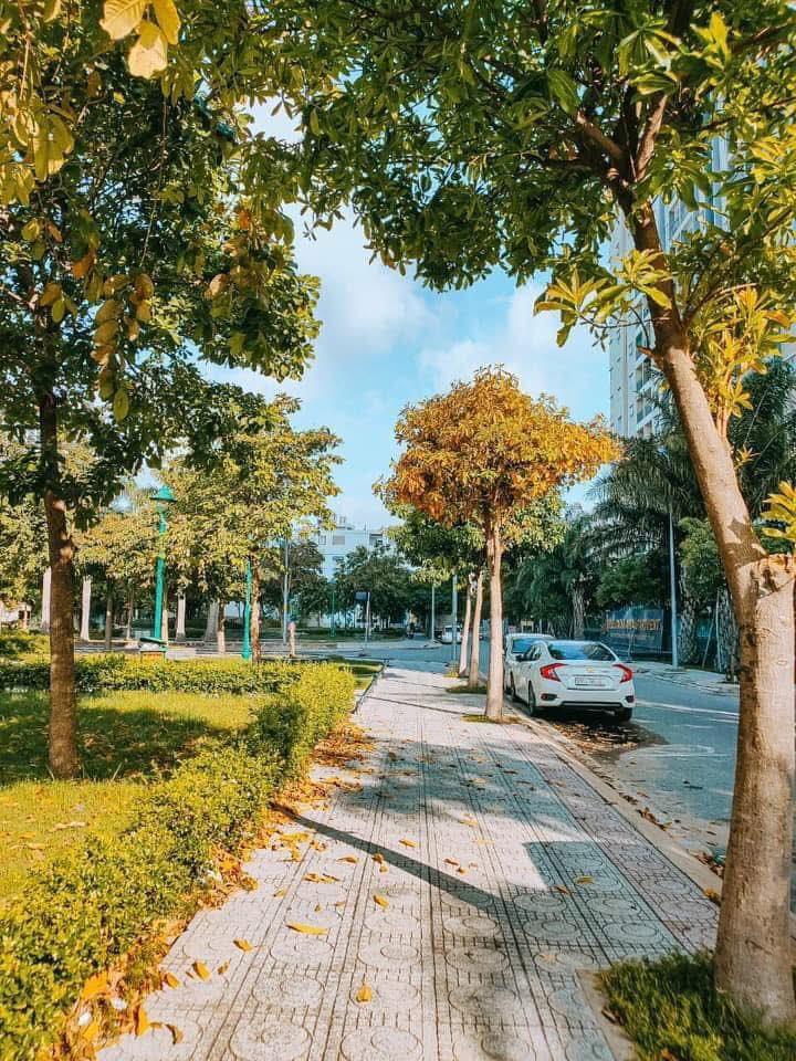 Chung cư Hiệp Thành Building, Quận 12, 51m² giá 5.8 triệu - View hồ bơi tuyệt đẹp!