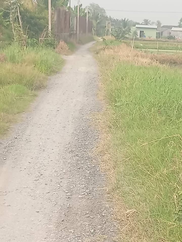 Đất nền Mỹ Phú Thủ Thừa 7395m² giá 5.177 tỷ - Cơ hội đầu tư hấp dẫn!