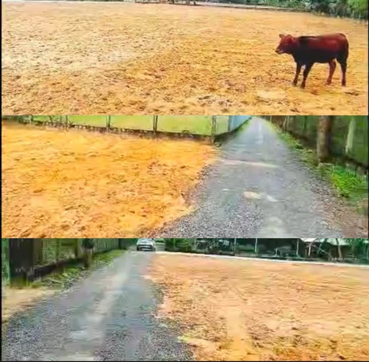 Đất nền tại thôn Mỹ Hóa, Cát Hanh, Phù Cát - Giá chỉ từ 200 triệu, cơ hội đầu tư hấp dẫn!