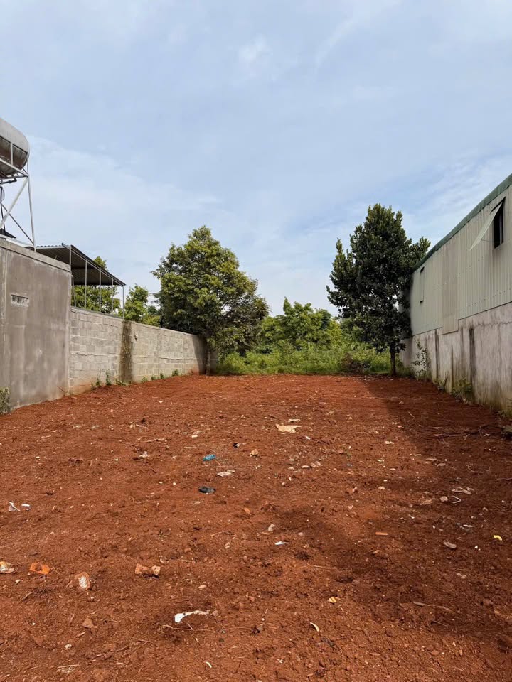Đất nền Tân An Buôn Ma Thuột 280m² giá 2.8 tỷ - Đầu tư sinh lời ngay!