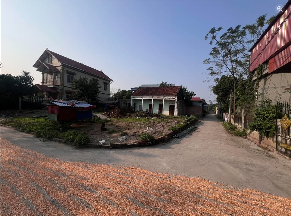 Đất nền Đồng Trung - Thanh Thủy Phú Thọ 260m² - Giá đầu tư hấp dẫn