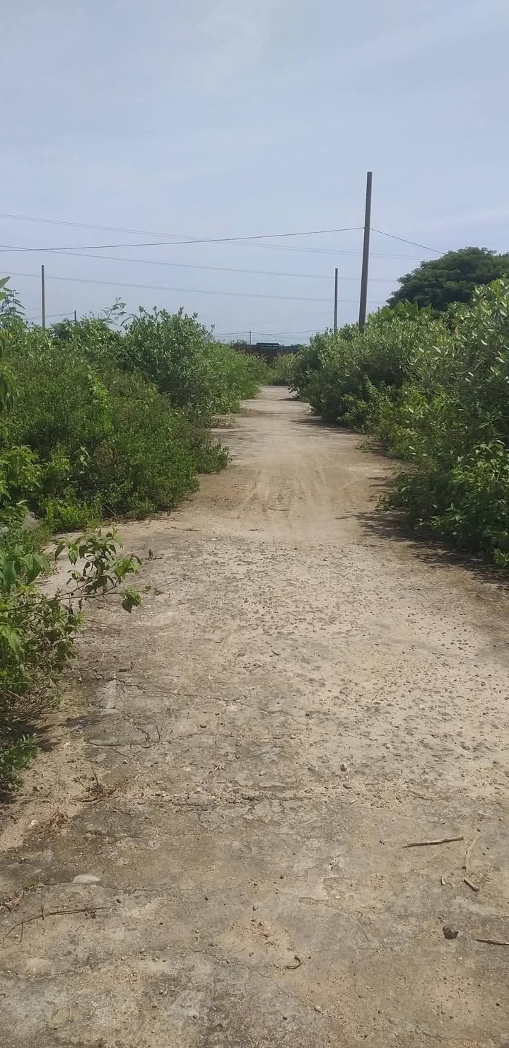 Đất thổ cư Nha Trang 79m² giá 1.45 tỷ - Cơ hội đầu tư tuyệt vời!