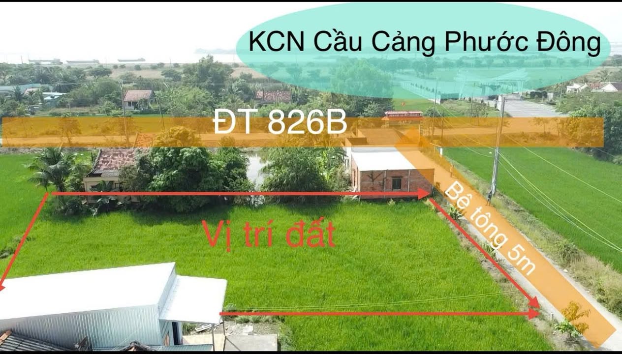 Đất thổ cư 1000m² xã Phước Đông, Cần Đước - Cách KCN Phước Đông chỉ 50m, giá 5 tỷ!
