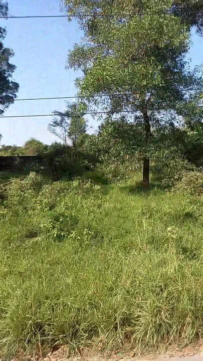 Đất thổ cư 168m² tại ấp 6 An Phước, Long Thành giá 1.8 tỷ - Cơ hội đầu tư tuyệt vời!