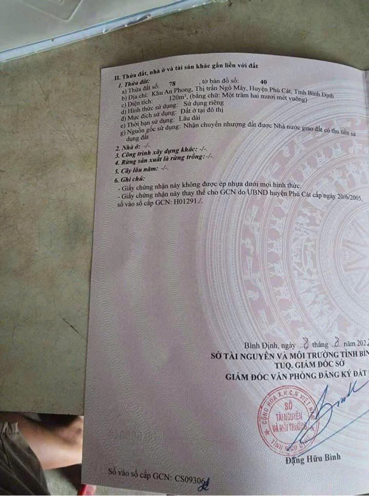 Đất nền Cát Trinh, Phù Cát 120m² giá 800 triệu - Sổ hồng chính chủ, khu dân cư đông đúc!