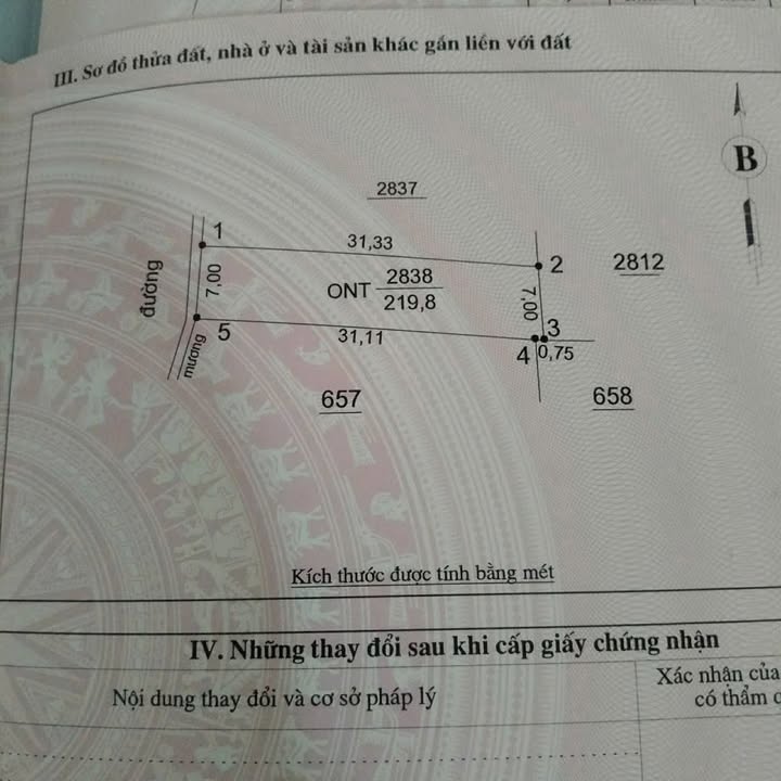 Đất nền chính chủ xã Nam Thanh, huyện Nam Đàn 217m² - Cơ hội đầu tư tuyệt vời!