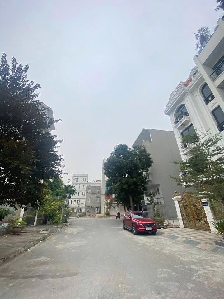 Đất phân lô 6B Lê Hồng Phong, Ngô Quyền, Hải Phòng 119m² giá 12.495 tỷ - Khu dân trí cao!