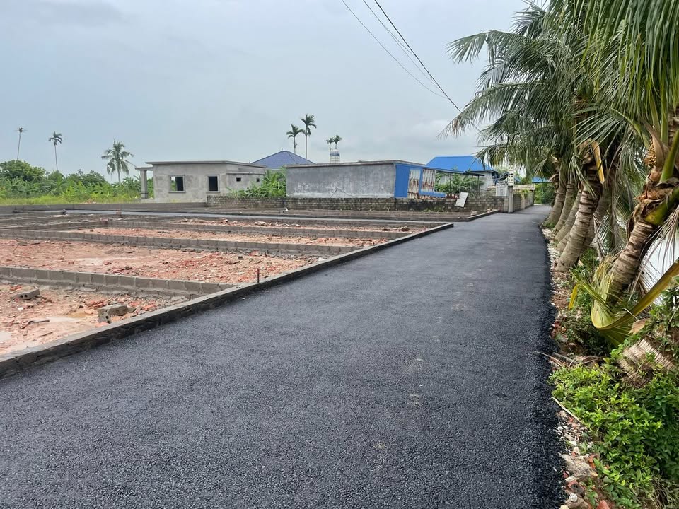 Đất Quang Hưng An Lão 60m² - Vị trí đắc địa, tiềm năng tăng giá!