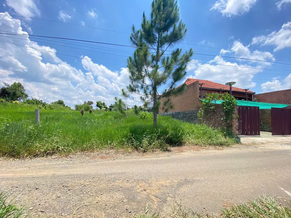 Đất thổ cư xã Lộc An, Bảo Lâm 291m² giá 890 triệu - Sổ hồng chính chủ!