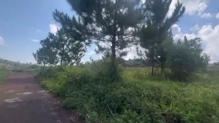 Đất thổ cư 200m² tại KDC Pine Valley, Bảo Lộc chỉ 2.5 tỷ - Chính chủ bán gấp!