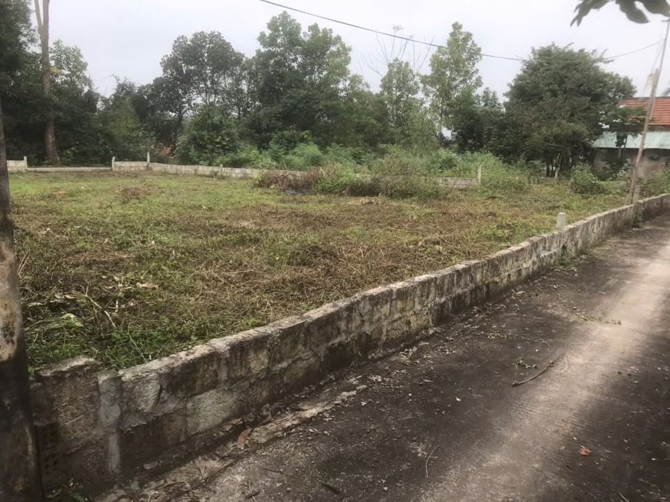 Đất nền Gò Hà, Hòa Khương 442m² giá 1.4 tỷ - Đường bê tông thông thoáng!