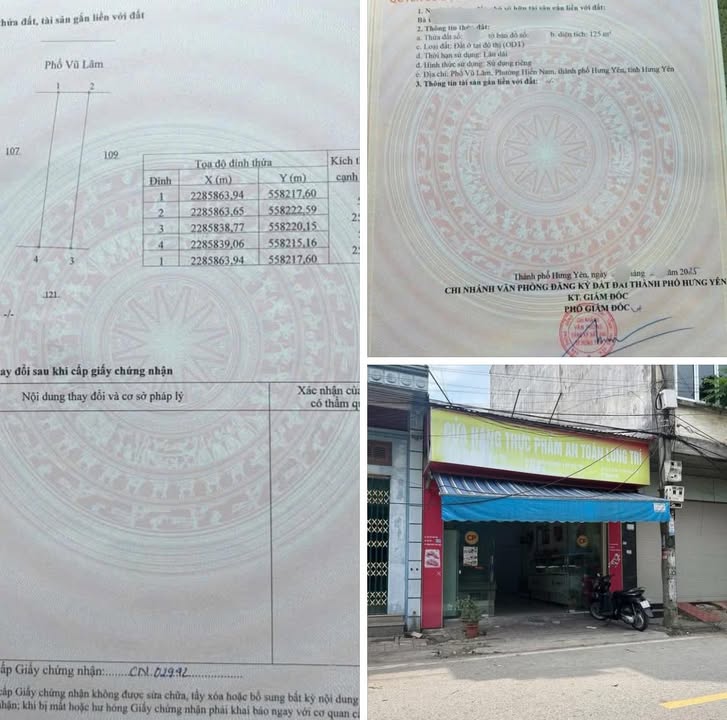 Đất nền Phố Hiến Hưng Yên 125m² giá 12 tỷ - Kinh doanh đắc địa ngay trung tâm!