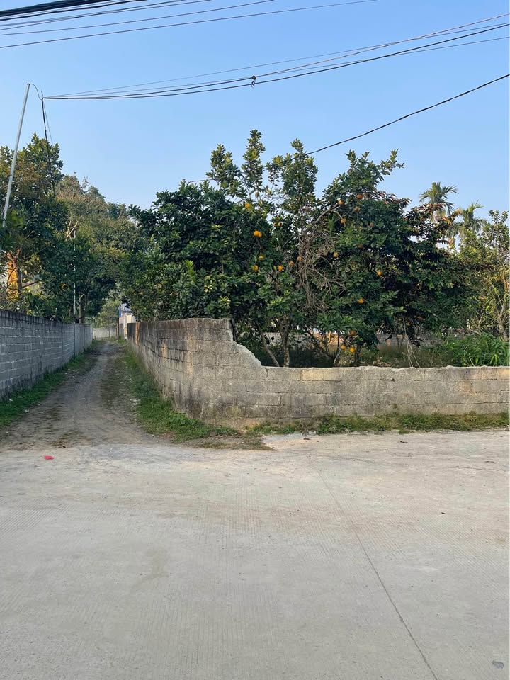 Lô đất đẹp Tân Vinh, Lương Sơn 102,9m² giá 1.7 tỷ - Sổ đỏ chính chủ, đường rộng 3 xe tránh nhau!