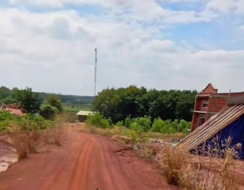 Lô đất Tân Lợi Đồng Phú 4000m² giá 900 triệu - Cần bán gấp!