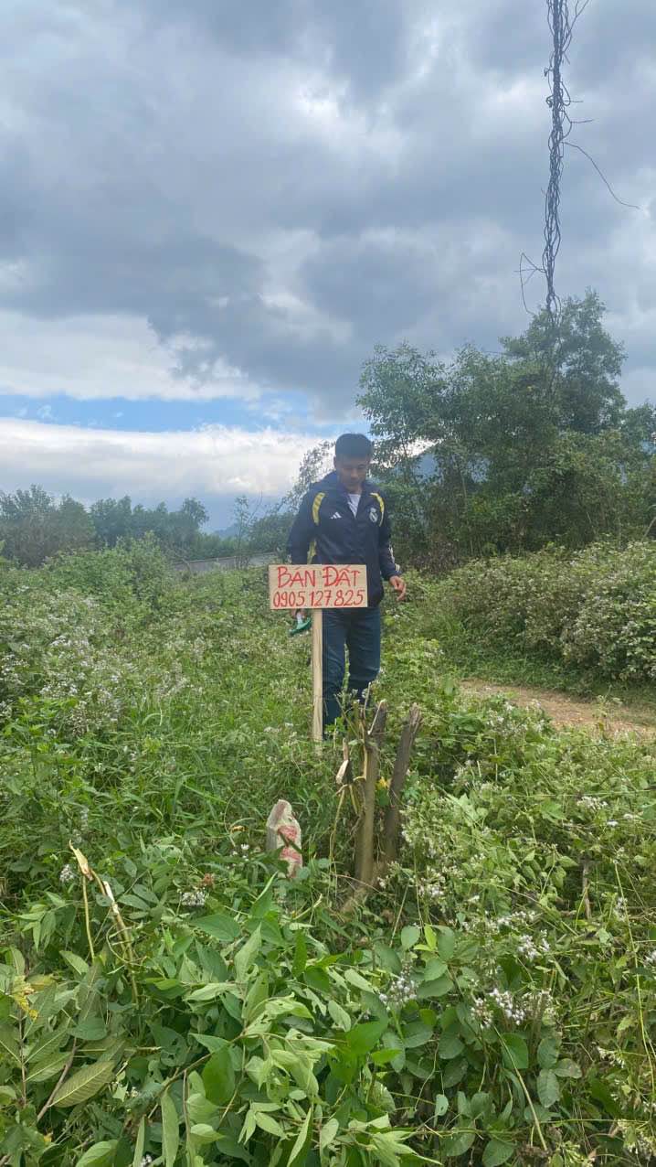 Đất nền mặt tiền xã Xuân Đồng, Diên Khánh 1124m² - Cơ hội đầu tư hấp dẫn!