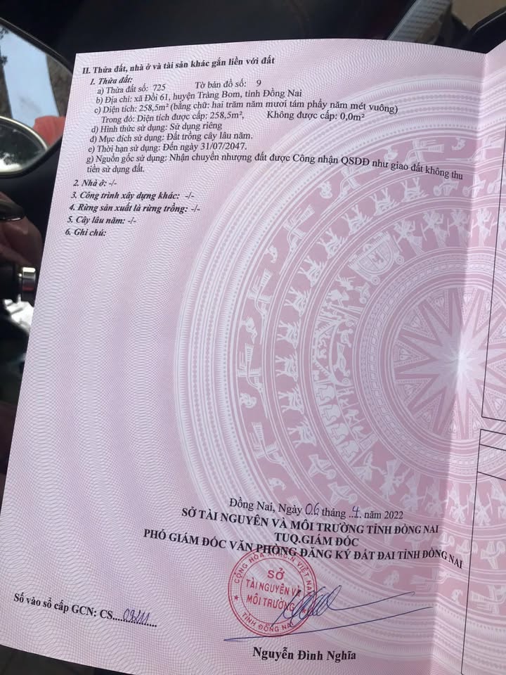 Đất nền 258m² tại An Viễn, Trảng Bom - Đầu tư sinh lời ngay!