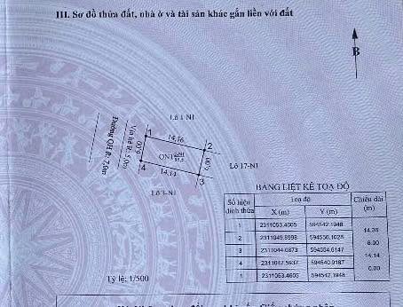 Đất nền Bái Trong, Hoa Động, Thủy Nguyên 85.5m² giá chỉ 4.4 tỷ - Cơ hội đầu tư sinh lời!