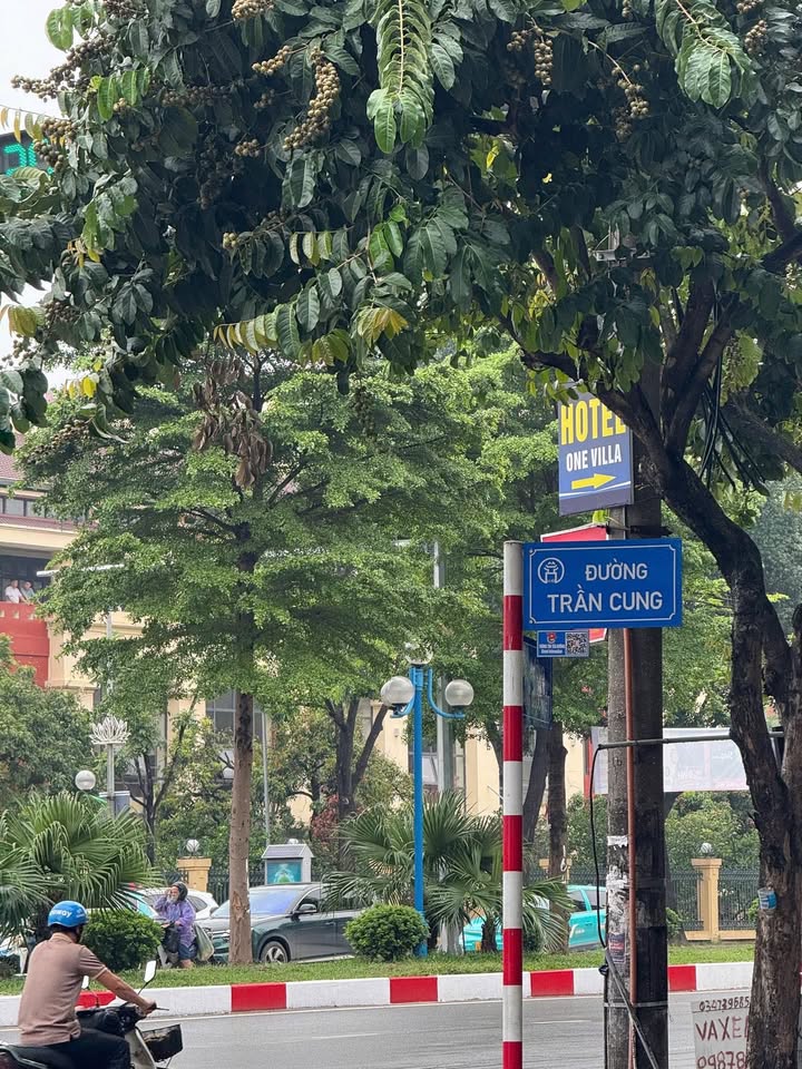 Đất nền Nghĩa Tân, Cầu Giấy 67m² giá 268 triệu/m² - Đón đầu quy hoạch mặt phố!