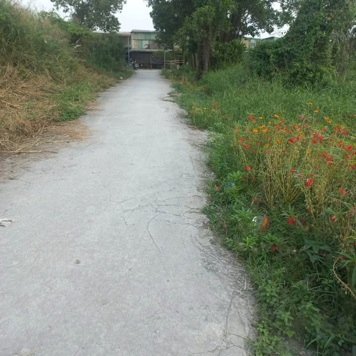 Bán gấp 3 nền đất xã Lê Minh Xuân 225m² giá 600 triệu - Cơ hội đầu tư hấp dẫn!