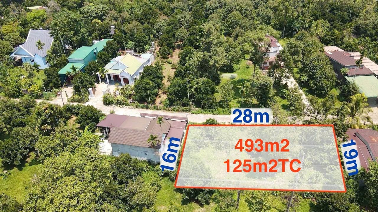 Lô đất 493m² Đạ Huoai giá 1.1 tỷ - Đầu tư sinh lời ngay!