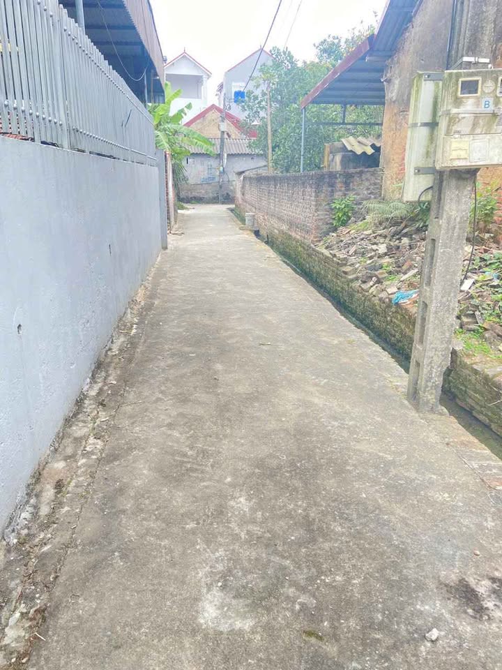 Đất thổ cư Hòa Phong, Mỹ Hào 65m² giá chỉ 900 triệu - Tiềm năng tăng giá mạnh!