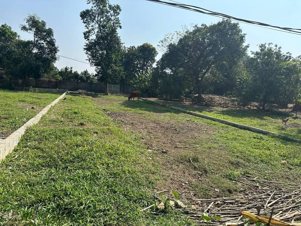 Đất nền 326m² tại Ngọc Lương, Yên Thủy – Giá chỉ 700 triệu, vị trí đẹp!