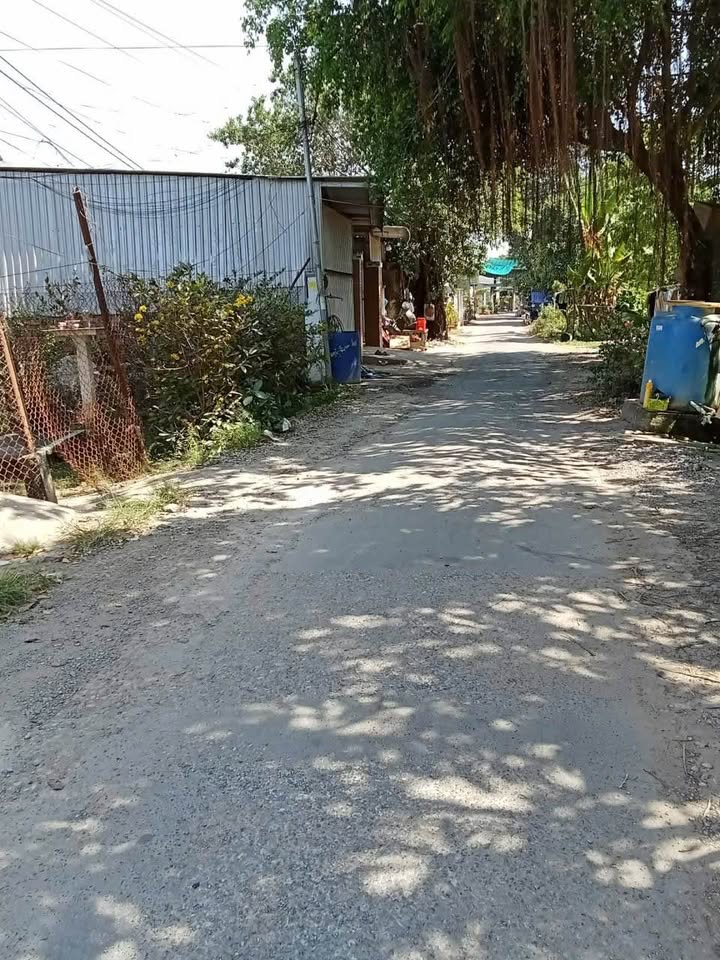 Đất nền Cặp rạch Cần Xây, Bình Đức, An Giang 252m² giá 2.519 tỷ - Vị trí đẹp, pháp lý rõ ràng!