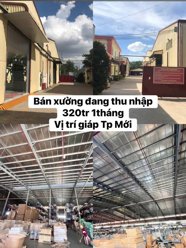 Xưởng đầu tư Tân Vĩnh Hiệp 8000m² giá 7X tỷ - Đang cho thuê 320 triệu/tháng!