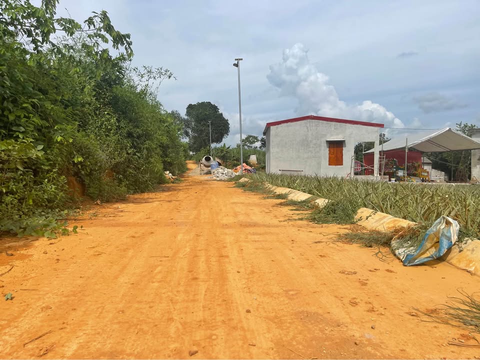 Đất nền Vân Du Thạch Thành 316m² giá thỏa thuận - Đầu tư sinh lời cao!