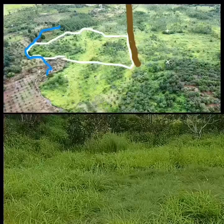 Đất rẫy 2ha tại Ia Chia, Gia Lai giá chỉ 550 triệu - Đầu tư tuyệt vời!