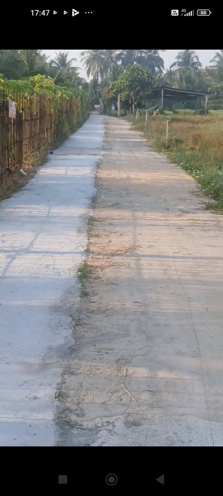 Đất nền Bình Hưng Chợ Gạo 504m² giá 400 triệu - Sổ hồng riêng chính chủ!