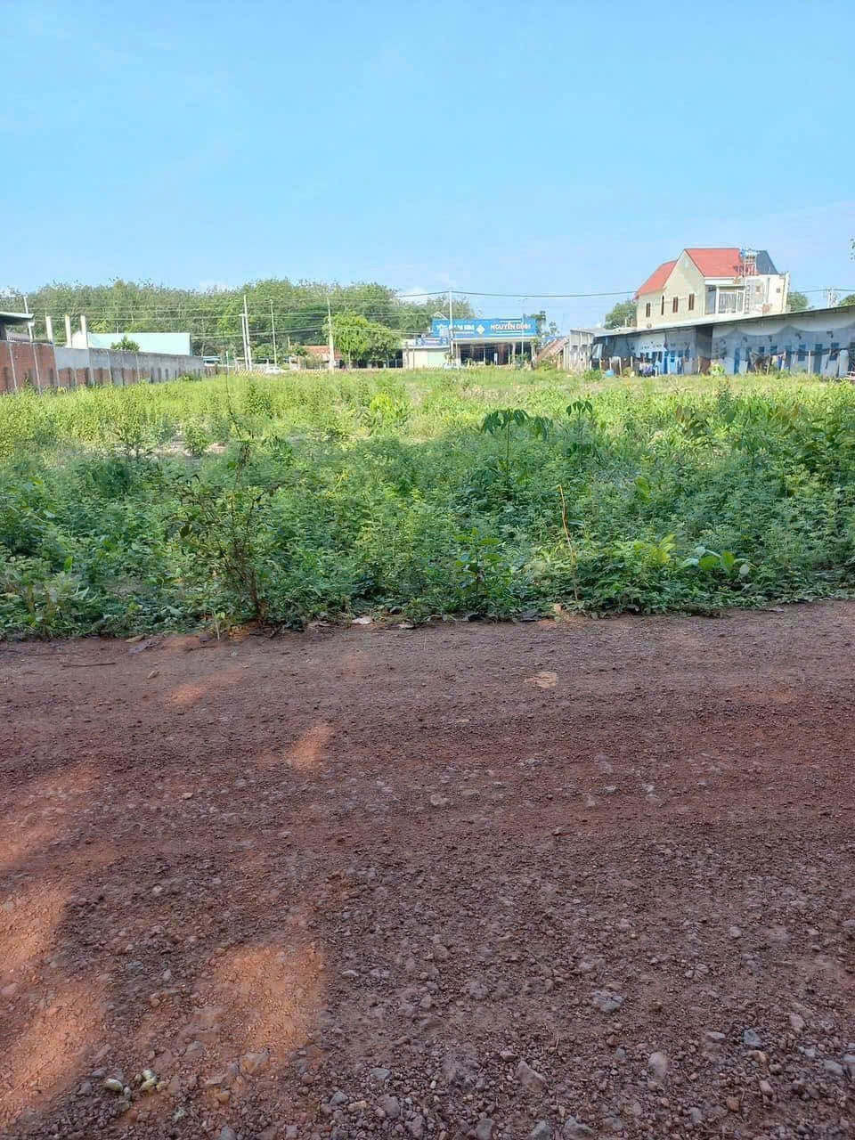 Đất liền kề 10m, 438m² tại Minh Thạnh, giá 595 triệu - Đầu tư sinh lời ngay!