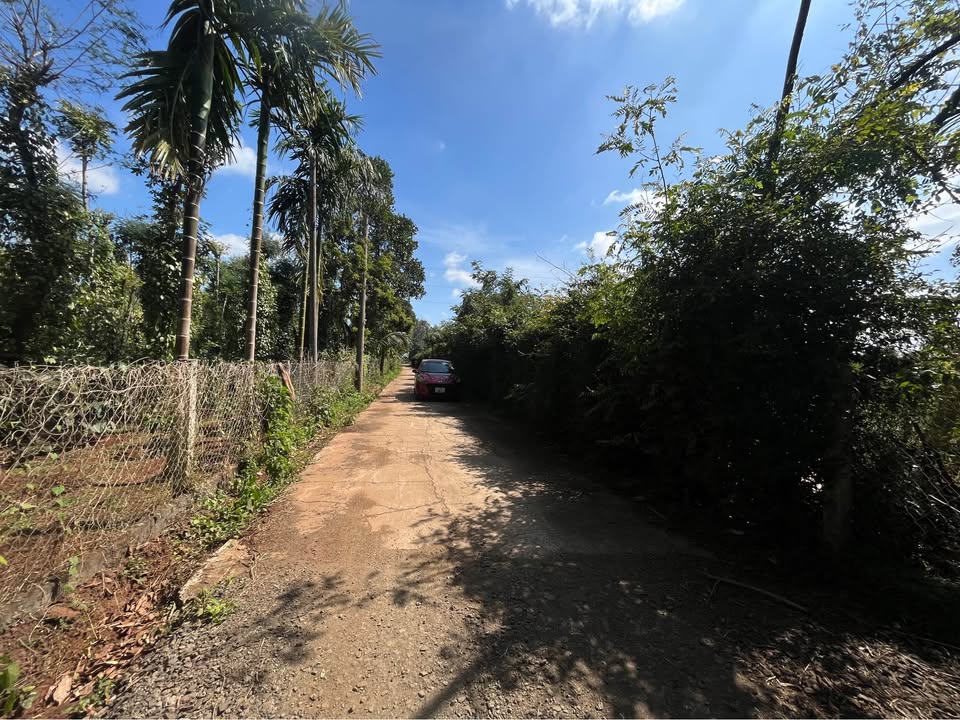 Đất thổ cư Cư Suê, Ea Súp 150m² giá 460 triệu - Cơ hội đầu tư tuyệt vời!